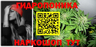 кокс Можайск