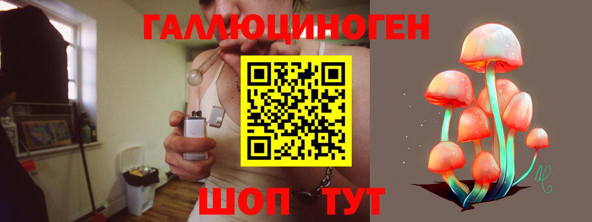 купить  цена  Псилоцибиновые грибы GOLDEN TEACHER  Вход с VPN  Соль-Илецк 